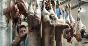 محدودیت برای گوشت ذبح شده توسط اسماعیلیان در پاکستان