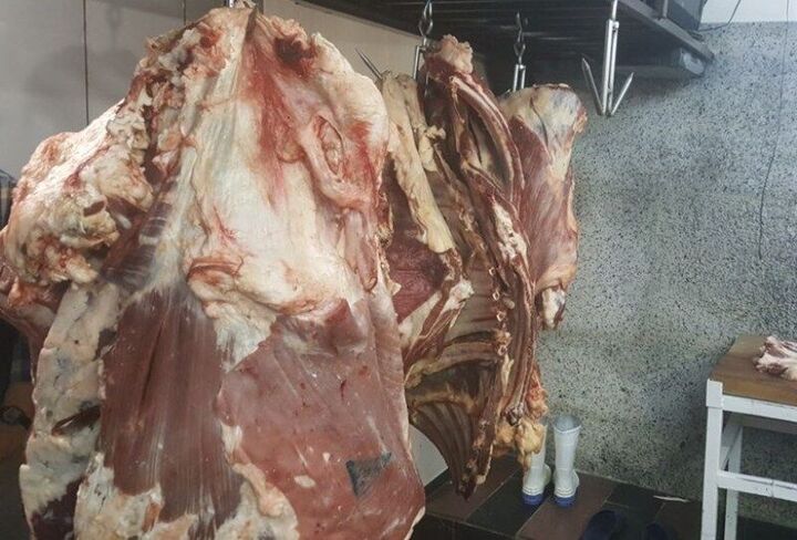 کشف بیش از ۱.۶ تن فرآورده خام دامی غیر بهداشتی در ایام اربعین در استان ایلام