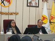 ۱۱۰ پروژه اصلاح و ترمیم شبکه‌های آسیب دیده برق در استان زنجان اجرا شد