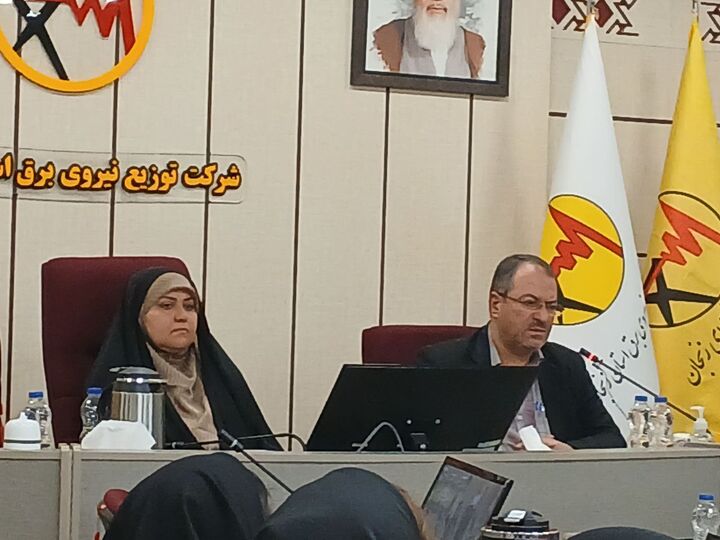 ۱۱۰ پروژه اصلاح و ترمیم شبکه‌های آسیب دیده برق در استان زنجان اجرا شد