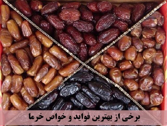 نخلداری هرمزگان؛ مقاوم در برابر خشکسالی، آماده برای جهش اقتصادی