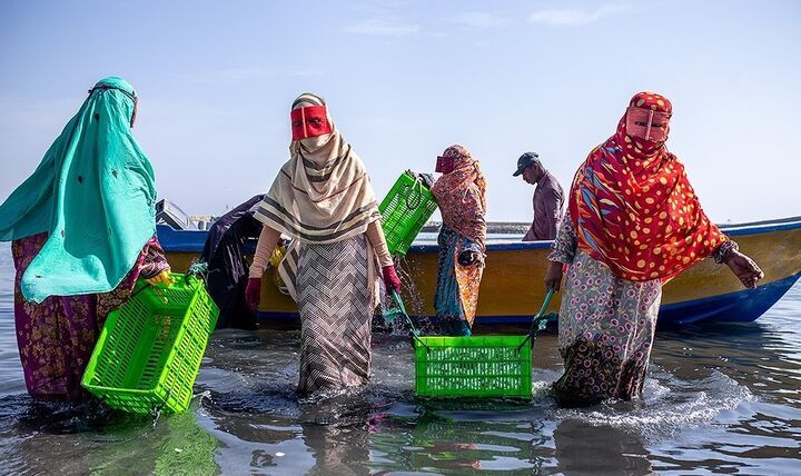 زنان صیاد جزیره هنگام؛ روایت قدرت و پایداری در قلب خلیج‌فارس