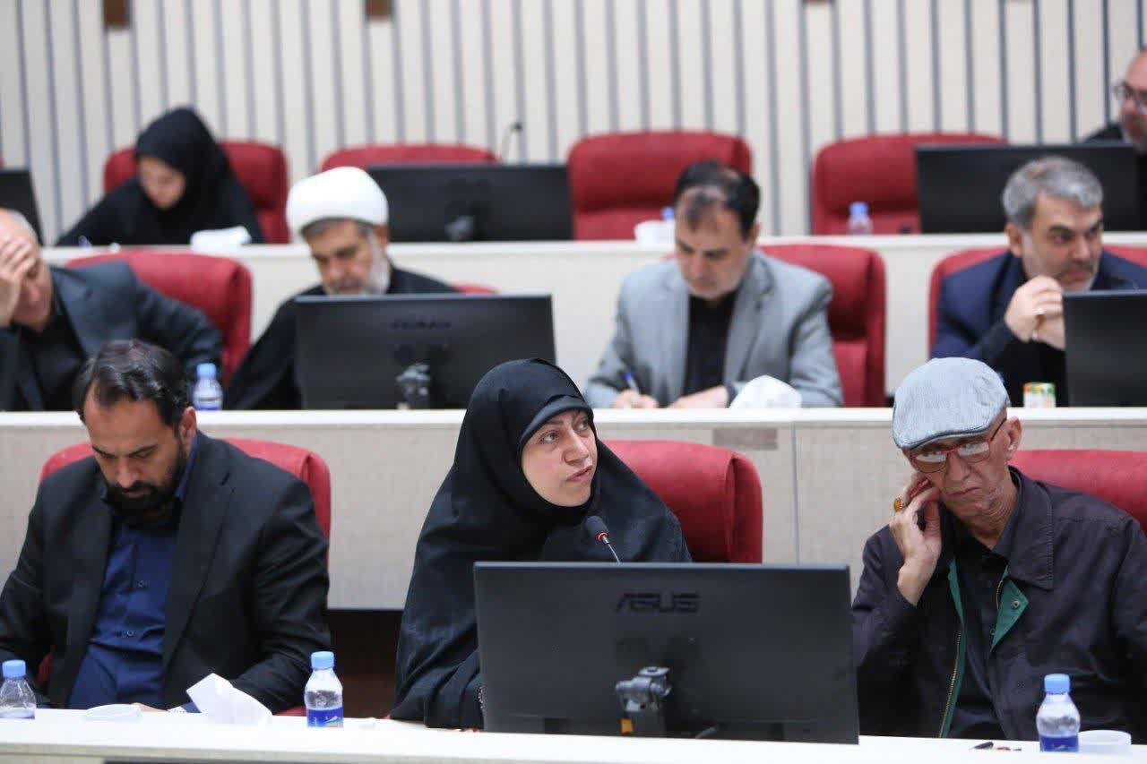 لزوم توجه مجلس به مسائل مشهد مقدس