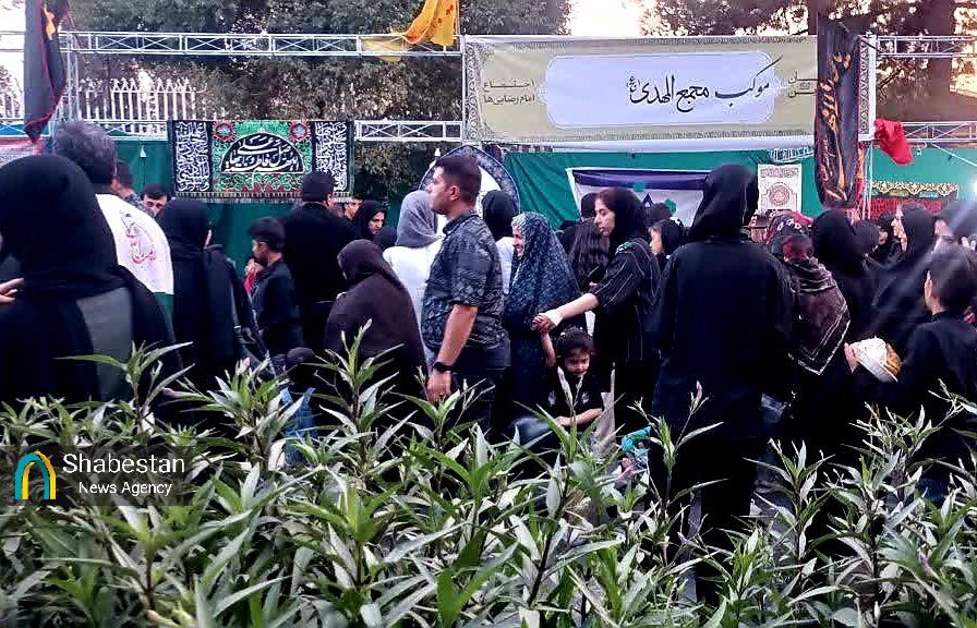 کرمان در سوگ امام رئوف؛ جلوهای باشکوه از عشق رضوی با برپایی بیش از ۵۰ موکب خدمترسانی
