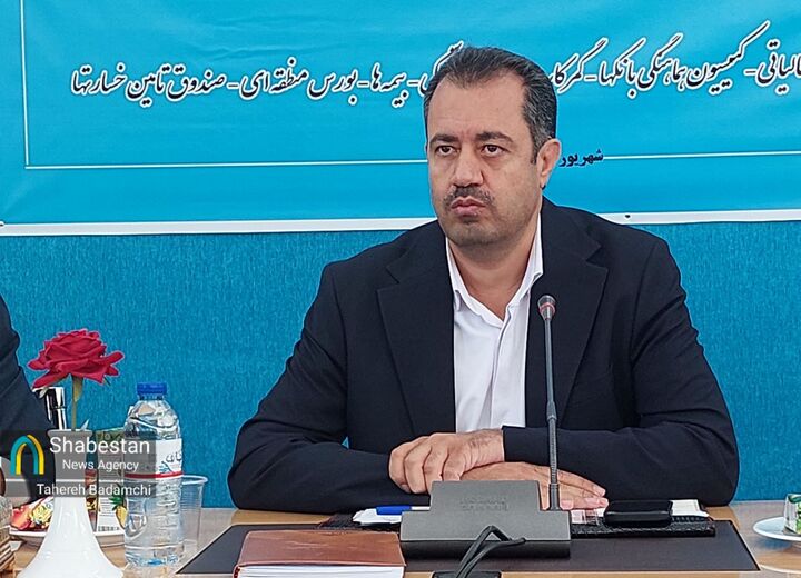 پیشتازی کرمان در مسیر تحقق شعار سال با بیشترین جذب سرمایه‌گذاری خارجی