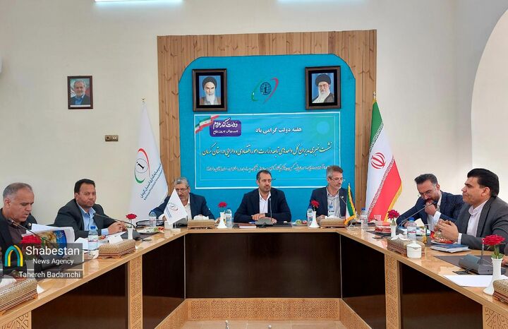 ارائه تسهیلات فرزندآوری به بیش از هفت هزار متقاضی در استان کرمان