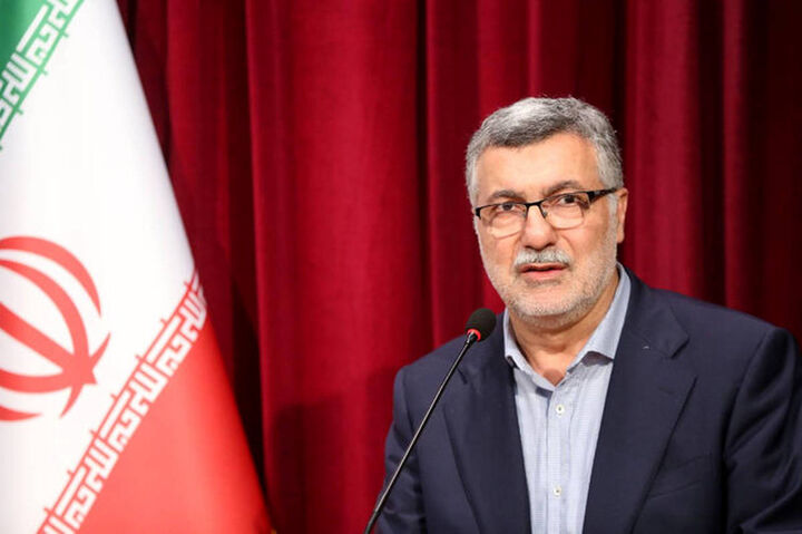 بررسی روند اجرای پزشک خانواده در کمیسیون بهداشت مجلس