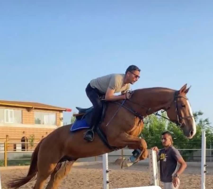 سرّ یاس؛ روایت همسرانه شهیدی از مسجد غدیریه نظرآباد