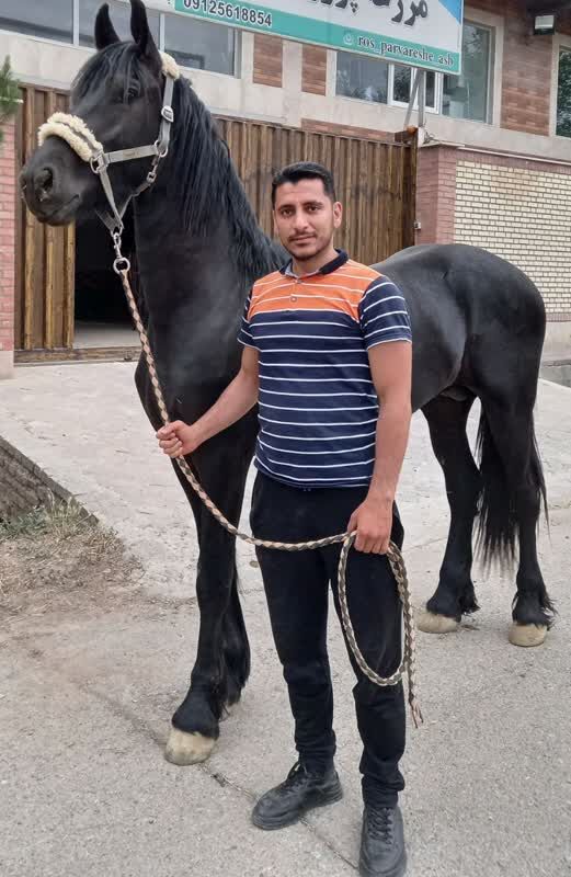 سرّ یاس؛ روایت همسرانه شهیدی از مسجد غدیریه نظرآباد