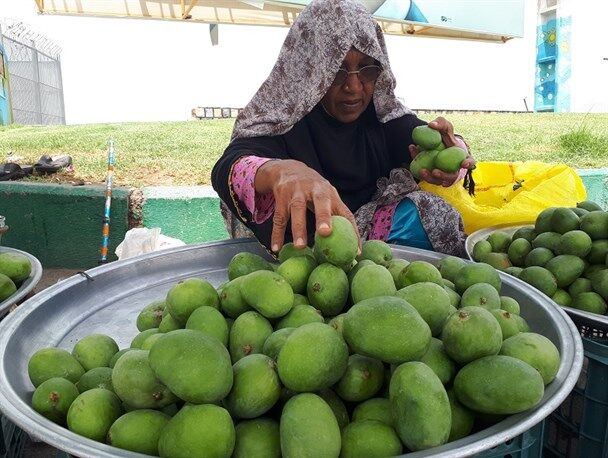 عطر انبه و یاسمین در قلب میناب/ روایتی از آغاز بکار یازدهمین جشنواره شکرگزاری