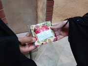  از دل درد تا دلداگی؛ ماجرای معجزه‌ای در سایه عنایت شهید گمنام