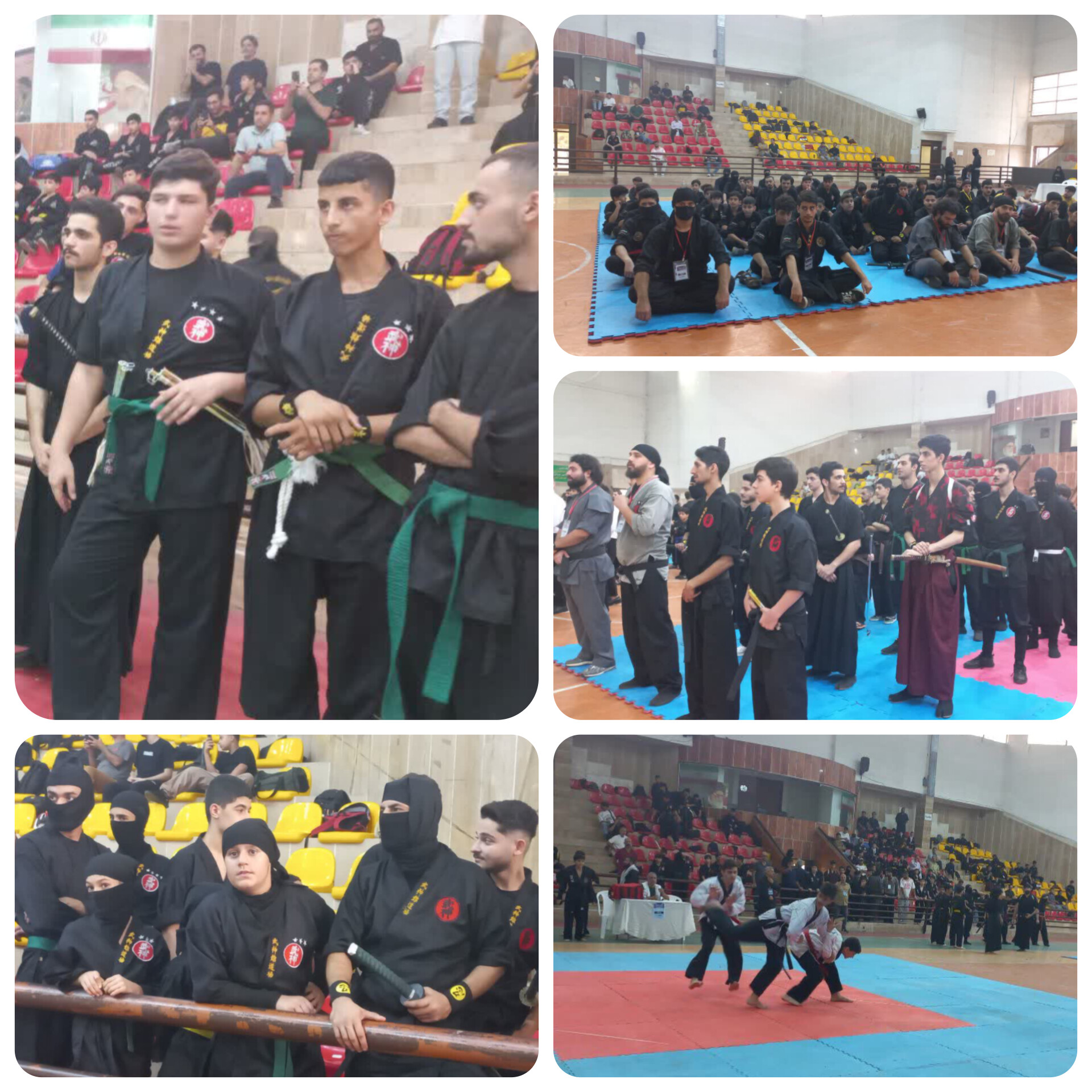 وقتی نمایش هنرهای رزمی به یاد شهدا برگزار شد