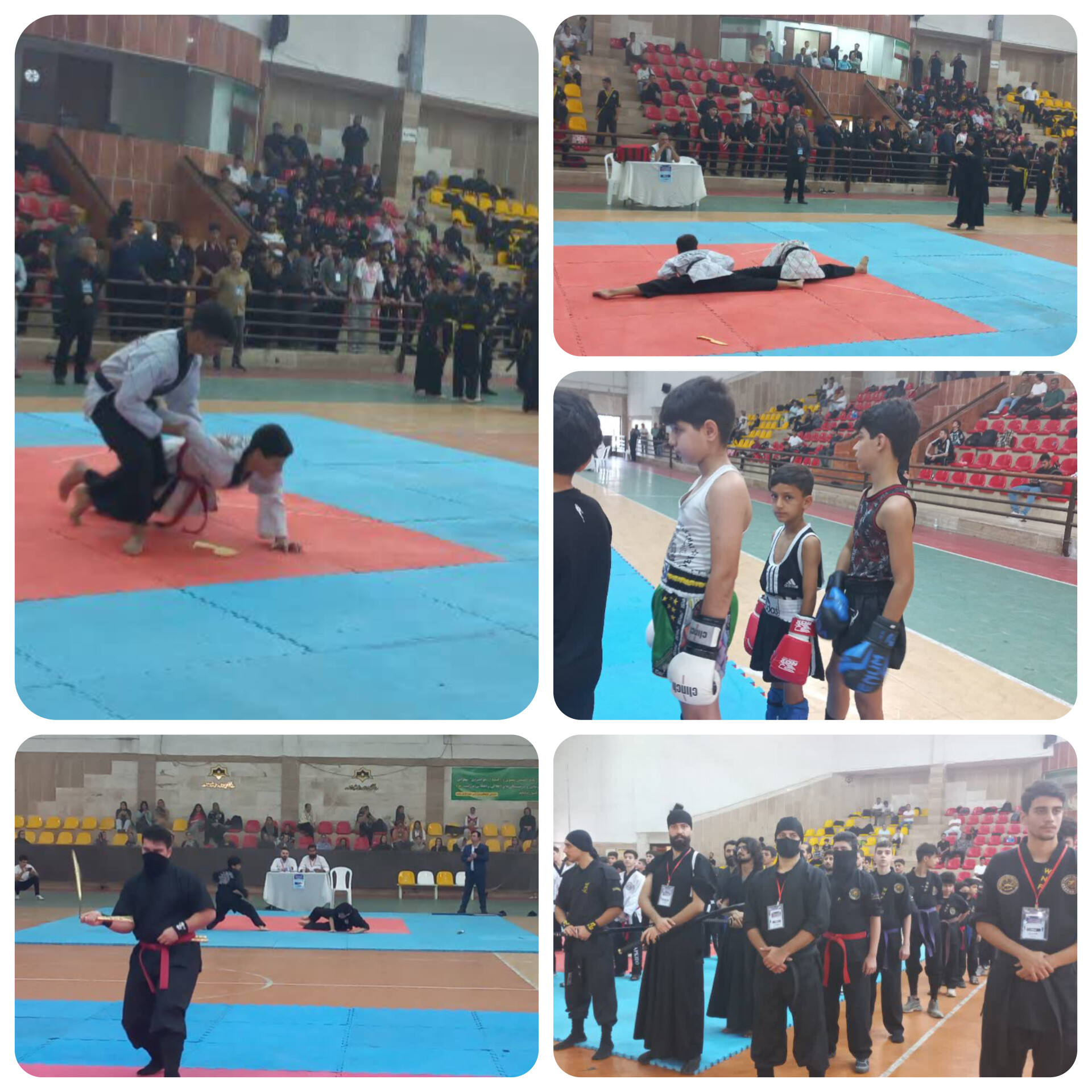 وقتی نمایش هنرهای رزمی به یاد شهدا برگزار شد