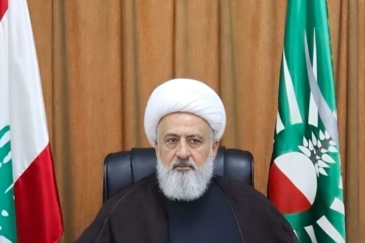 نایب رئیس مجلس اعلای اسلامی شیعیان, خواستار گفتگوی ملی برای بررسی مسئله سلاح شد