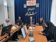 بزرگترین فرش تصویری تاریخی جهان در بیرجند رونمایی می‌شود