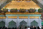 گل آرایی حرمین عسکریین(ع) به مناسبت میلاد پیامبر(ص) و امام صادق(ع)