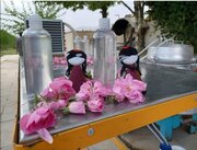 ثبت آیین گلاب‌گیری بروجرد در فهرست رویدادهای گردشگری ایران