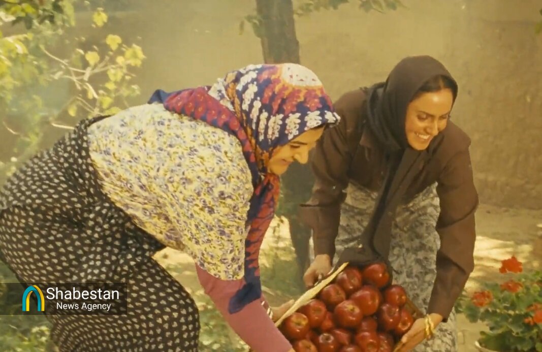نگاه خاص و جذاب سینمای ایران به خانواده/ از مادرانه‌ها تا جایگاه حفظ حرکت‌های خانوادگی