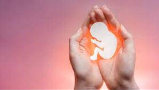 بیانیه وزارت بهداشت در پی اخبار نادرست و تحریف شده درباره سقط جنین