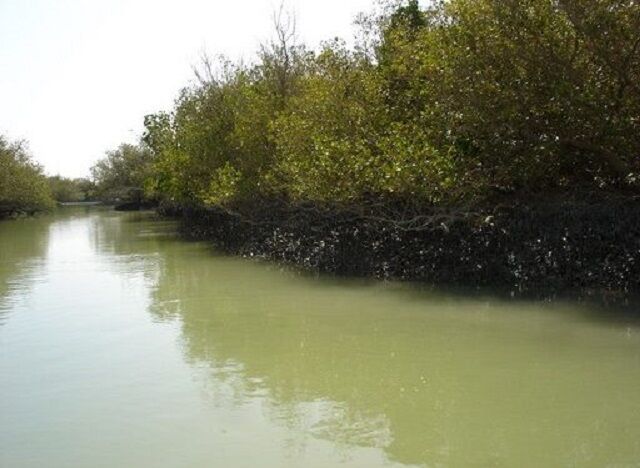 بندر تیاب/ نغمهای از تاریخ، طبیعت و فرهنگ در قلب هرمزگان