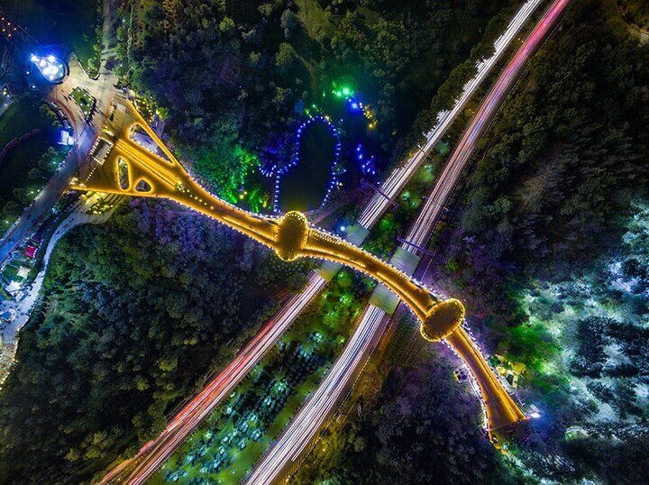 «پل طبیعت» برای کودکان سرطانی طلایی می‌شود