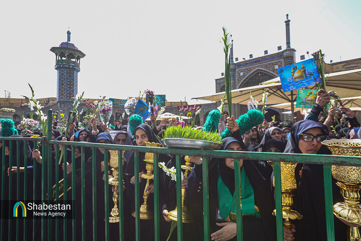 علت استقبال باشکوه مردم قم از حضرت معصومه سلام‌الله‌علیها چه بود؟