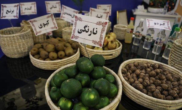 غوغای وقف در دانش‌بنیان‌ها، از خودکفایی در تولید ایمپلنت تا احیای عصر طلایی کشاورزی