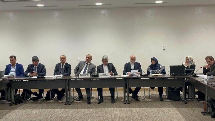 سیاسی‌کاری، شورای حقوق بشر سازمان ملل را بی‌اعتبار می‌کند