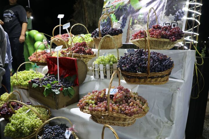 سفری به دنیای طعم‌های بهشتی