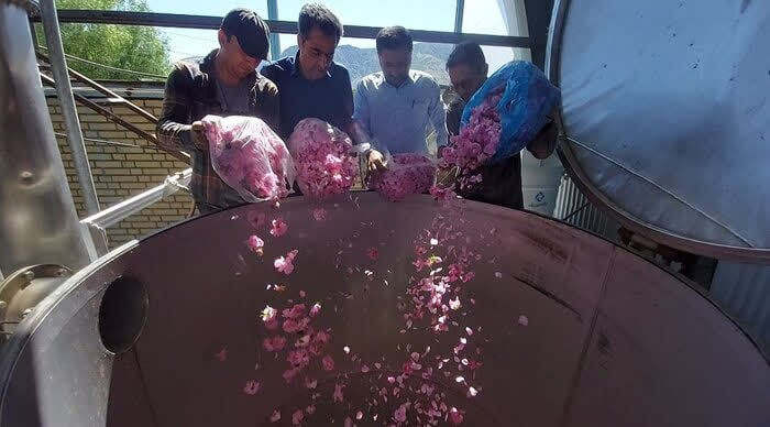 از زنده کردن روستای وامنان تا تأثیر بر بازارهای جهانی با پیوند معنویت و کشاورزی