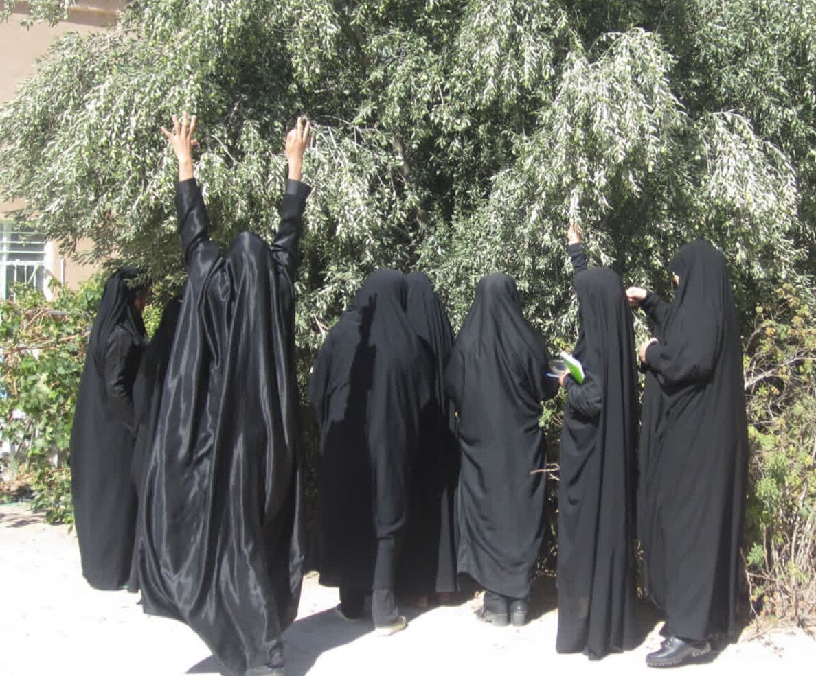 وقتی درختان زیتون حوزه علمیه خوسف بار اشتغال می دهند