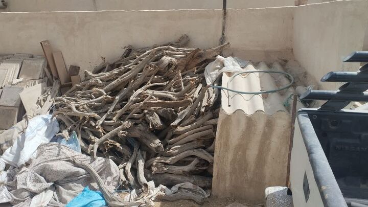 کشف ۲ و نیم تن چوب تاغ قاچاق در آران و بیدگل