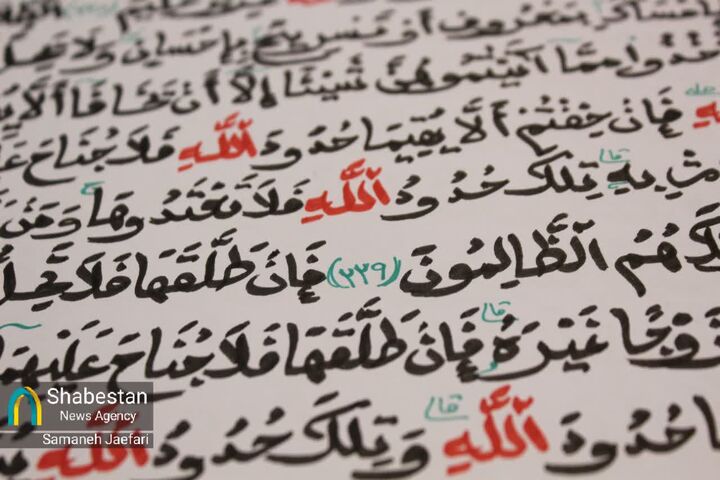 نذر متفاوت بانوی آفریقایی برای امام رضا(ع) که جاودانه شد