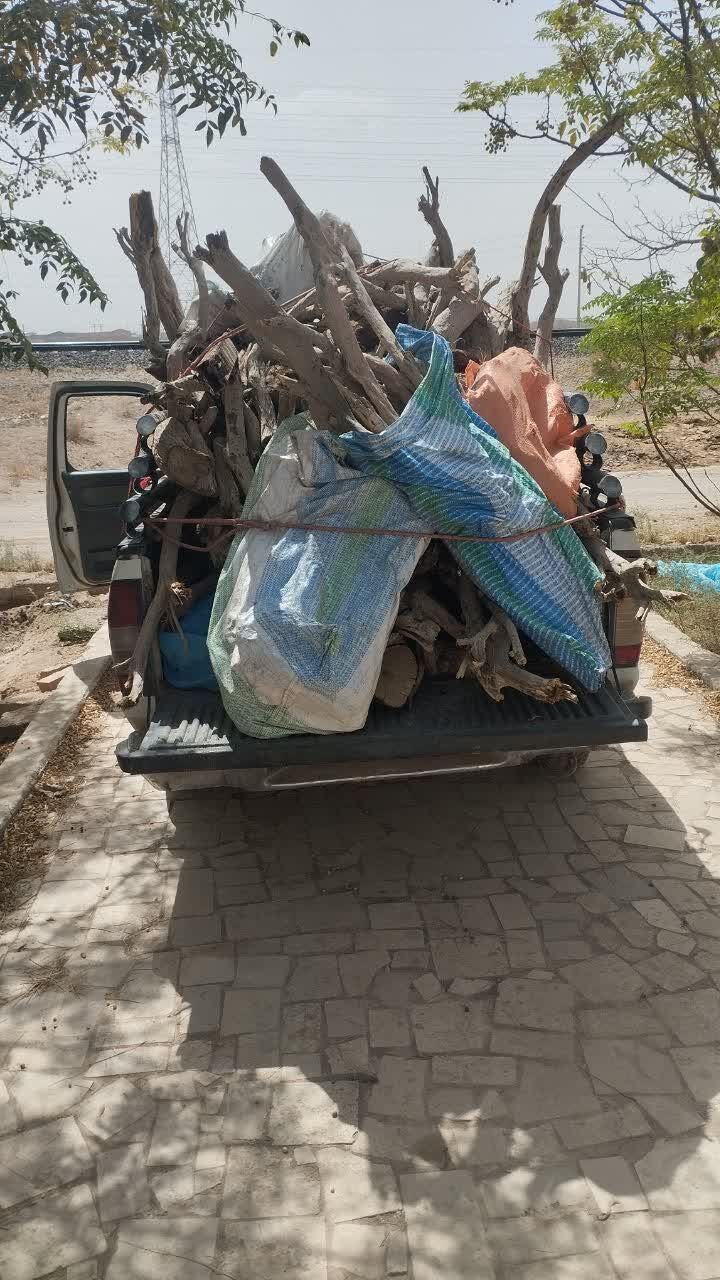 کشف ۲ و نیم تن چوب تاغ قاچاق در آران و بیدگل