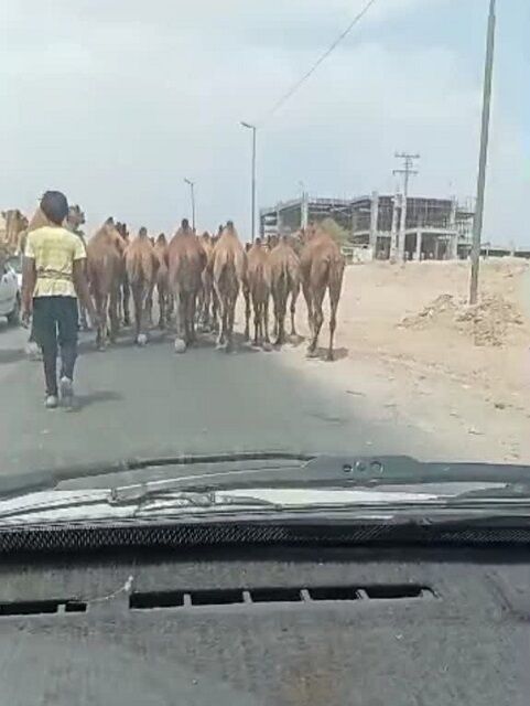 سایه مشکلات بر سر شهرک آبشورک/از ورودی ناایمن و مرگبار تا زبالههای انباشته