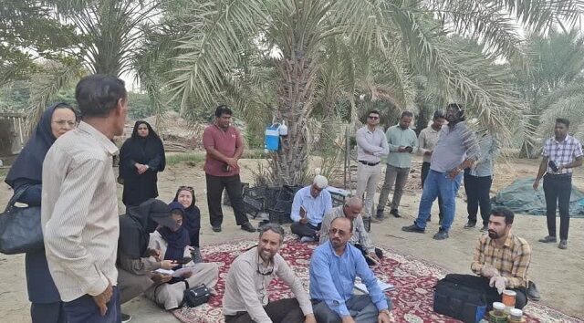 نوآوری در قلب نخلستان‌های میناب/ کارگاه آموزشی خشک‌کن آفتابی تونلی خرما