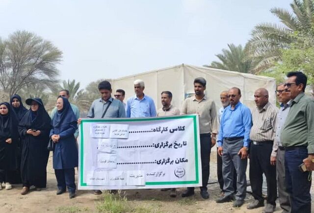 نوآوری در قلب نخلستان‌های میناب/ کارگاه آموزشی خشک‌کن آفتابی تونلی خرما