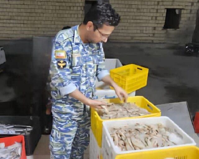 کشف ۵۳۶ کیلوگرم میگوی صید شده غیرمجاز در ایام دریابست هرمزگان