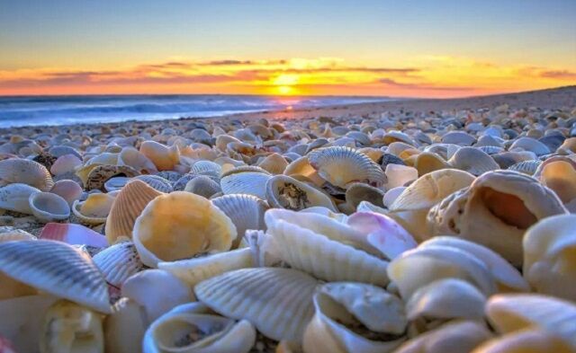 هرمزگان، نگین خلیج فارس/ پاییز و زمستان، فصل طلایی گردشگری جنوب