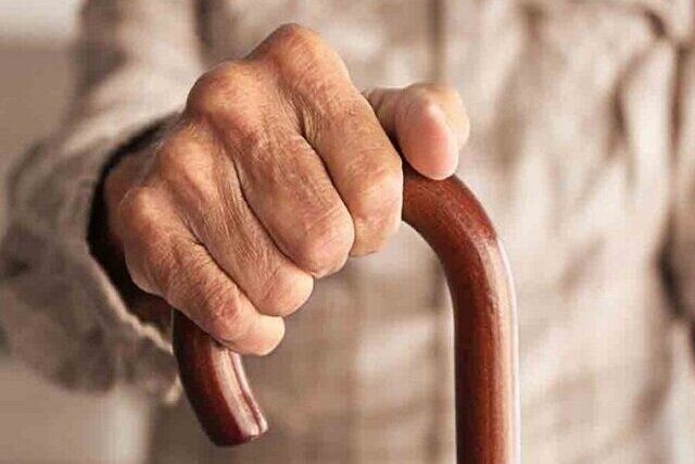 ۵۸ درصد خانواده‌های تحت حمایت کمیته امداد سالمند هستند