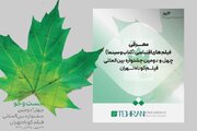 جشنواره فیلم کوتاه تهران آثار اقتباسی را شناخت