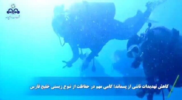 پاکسازی بستر خلیج فارس از پسماند