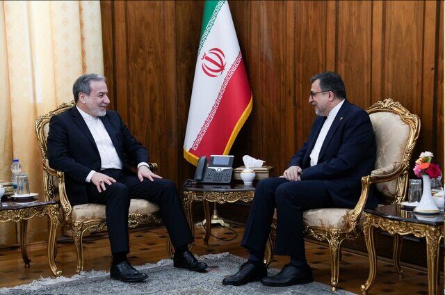 تاکید عراقچی بر اهمیت نقش سازمان همکاری اسلامی در تحکیم همکاری در قبال موضوع فلسطین