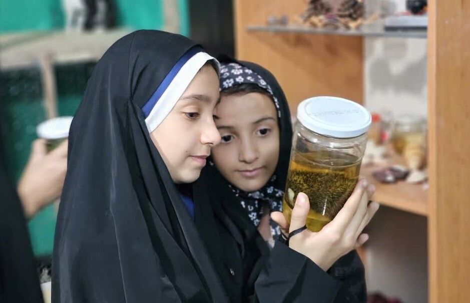 «علمکده گردو» و ماجرای «ای کاش» امیر حسین ثابتی!