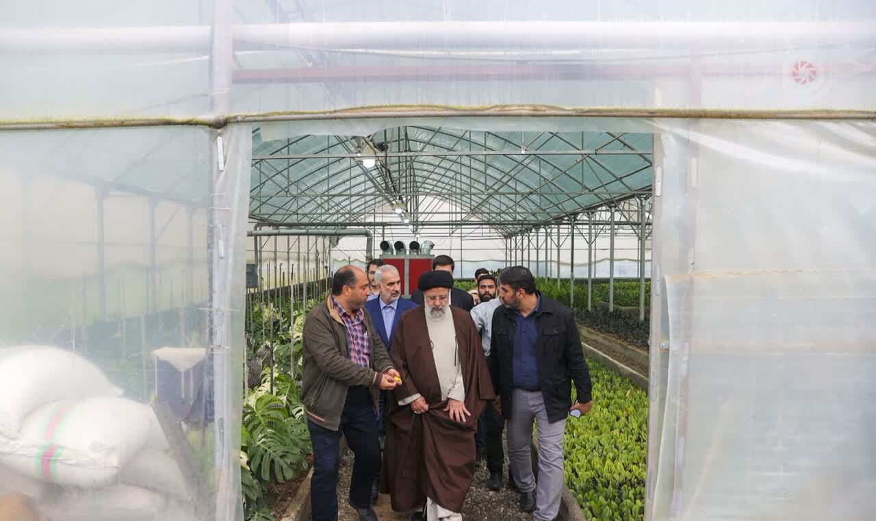 اشتغال‌زایی به توان مسجد در کانون خرماکلا قائم‌شهر