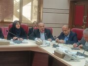 تدوین سند جامع خوشنویسی قزوین ضرورت مهم هنری