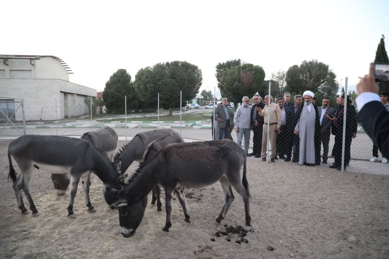 عشق؛ کلید دستیابی به اوج بندگی و عامل خروج از حیرت و سردرگمی است