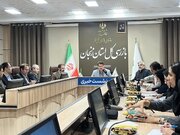 ۲۲۳ نفر به هیأت‌های تخلفات اداری معرفی و ۱۲۱ نفر محکوم شدند