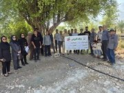 برگزاری کارگاه آموزشی مدیریت علمی آفات و بیماری‌های نخیلات در شمیل حاجی‌آباد