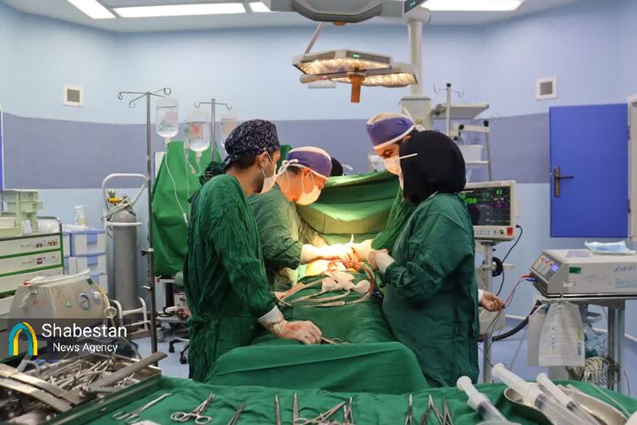 کبد افسر فراجا کهنوجی، هدیه‌ای از دل اندوه برای زندگی دوباره در شیراز